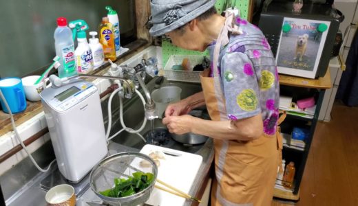 2019.08.19 ばあちゃんの孫への料理教室 ばあちゃん流 カツオのタタキ。