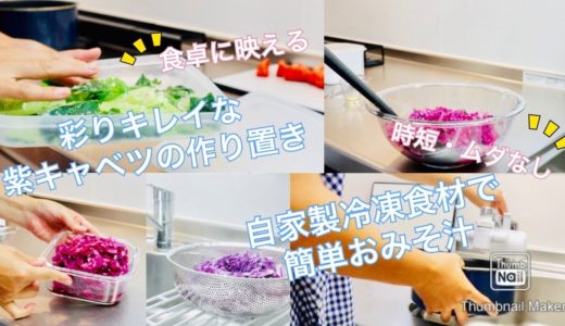 【料理動画】彩りきれいな紫キャベツの作り置き＆冷凍で時短！  いつもやってる楽チンおみそ汁作り。