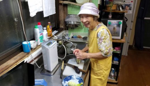 2019.08.09　ばあちゃんの孫への料理教室　ばあちゃん流　焼きナスのポン酢和え。
