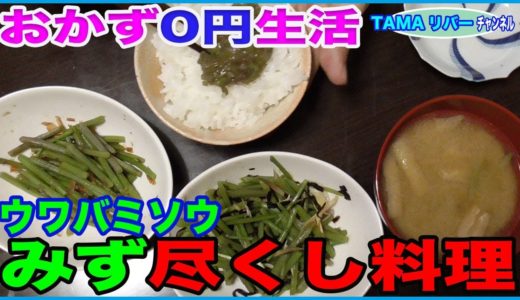【おかず0円生活】みず料理は旨い！