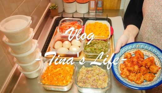 【作り置き】一人暮らし・簡単作り置き７品 / Meal Prep【ASMR・料理音・Vlog】(SUB)