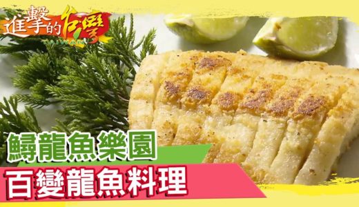 鱘龍魚樂園 百變龍魚料理《進擊的台灣》第284集