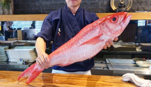日本巨型長尾濱鯛切割 & 料理
