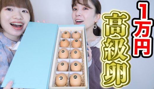 【1万円】高級卵10個を使って料理したら最高すぎたんだが