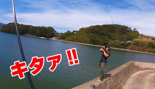 トップシーバス釣り対決‼北海道のあの料理の食材を釣りあげろ‼