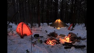 雪深い森 雪中キャンプ 焚き火で料理 Camp in a snowy forest