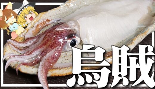 【料理 #11】よっしいは呼子のイカを食べたい　【ゆっくり実況】