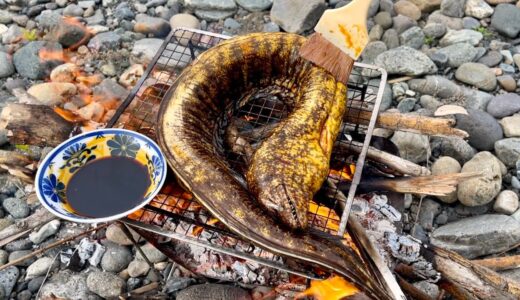 釣った巨大ウツボを焚火に放り込む料理