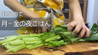 【2人暮らしの節約料理】食費2.5万円！夏野菜たっぷり平日夜ごはん