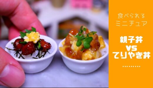 【ミニチュア料理】親子丼 vs 鶏てりやき丼│食べられるミニチュア│Miniature Hieu’s kitchen