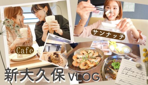 【新大久保Vlog】本場の海鮮料理が食べれるお店🐙&おしゃれカフェ&購入品【withなみさん❤︎】