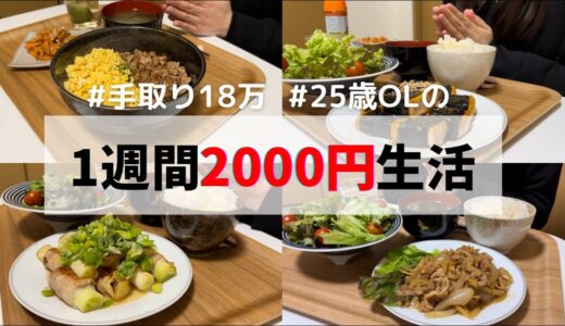 食費1ヶ月1万円の一人暮らしごはん【1週間分紹介】 /Weekly Cooking