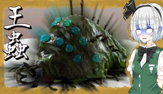 【ゆっくり料理】妖夢が王蟲のハンバーグ(?)を作ったよ～！【ゆっくり実況】【ジブリ飯(？)】
