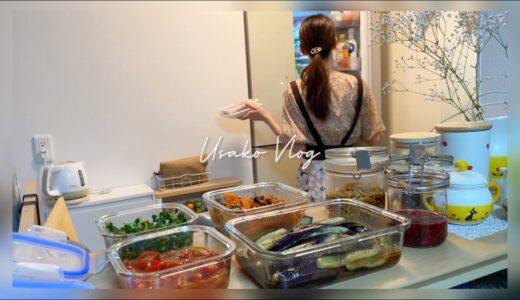料理好き主婦の作り置きをする休日vlog | 野菜たっぷりの簡単レシピ |下味冷凍 | 豆乳チョコプリン | 1日の食事記録