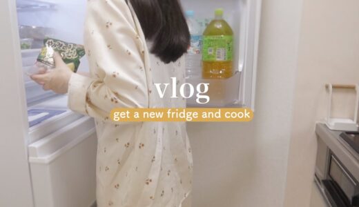 【一人暮らし】新しい冷蔵庫の収納を整えて料理する日常🥕✨ Daily life of a single person cooking in a new refrigerator