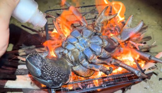 巨大ヤシガニを丸ごと焚き火に放り込む料理